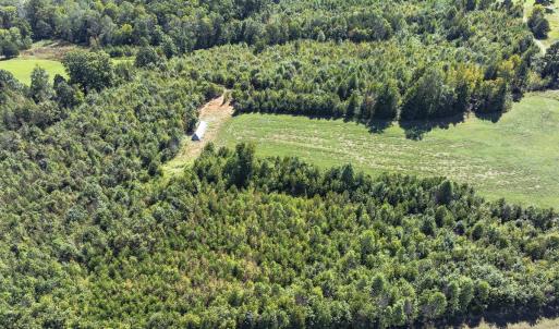 Photo #40 of 174, 176 & 135 BARKER RD, Semora, NC 36.5 acres