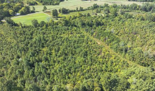 Photo #41 of 174, 176 & 135 BARKER RD, Semora, NC 36.5 acres