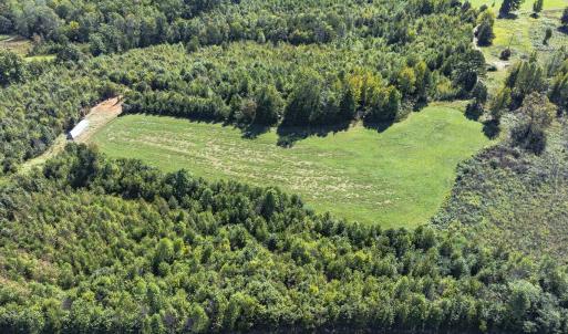Photo #43 of 174, 176 & 135 BARKER RD, Semora, NC 36.5 acres