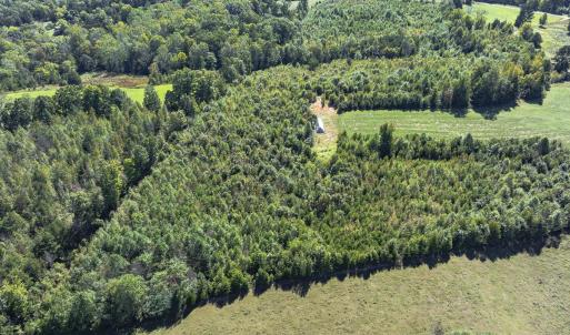 Photo #45 of 174, 176 & 135 BARKER RD, Semora, NC 36.5 acres