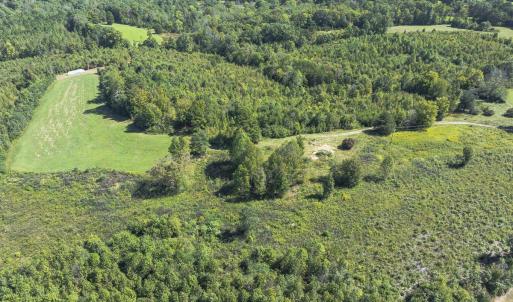 Photo #46 of 174, 176 & 135 BARKER RD, Semora, NC 36.5 acres