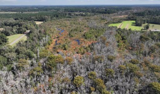 Photo #10 of Off J A Carrol Road, Bladenboro, NC 58.4 acres