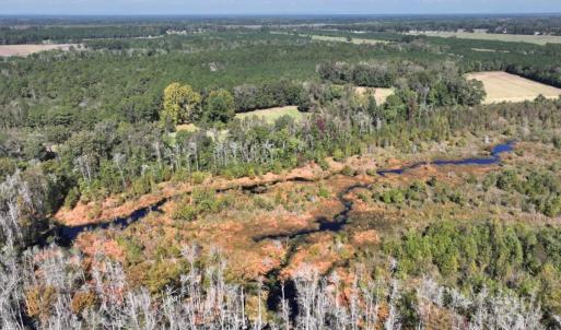 Photo #11 of Off J A Carrol Road, Bladenboro, NC 58.4 acres