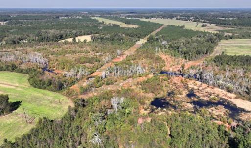 Photo #12 of Off J A Carrol Road, Bladenboro, NC 58.4 acres