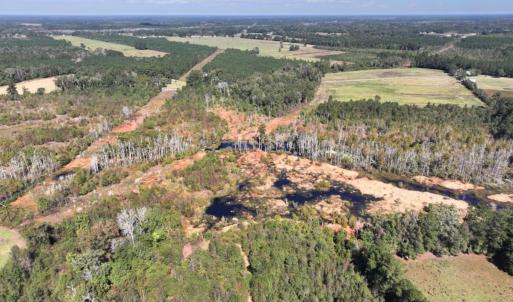 Photo #13 of Off J A Carrol Road, Bladenboro, NC 58.4 acres