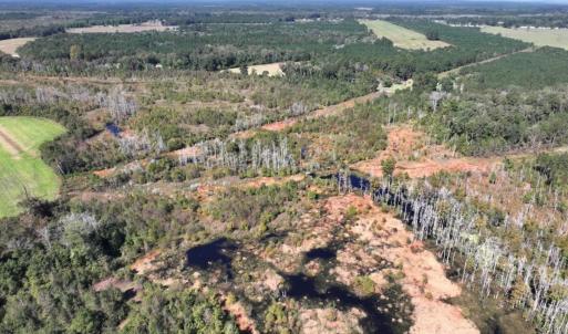 Photo #16 of Off J A Carrol Road, Bladenboro, NC 58.4 acres