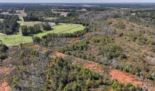 Photo #18 of Off J A Carrol Road, Bladenboro, NC 58.4 acres