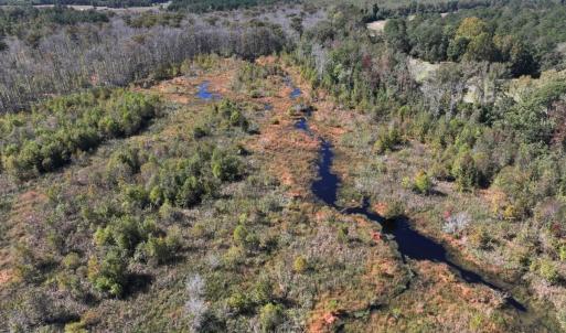 Photo #19 of Off J A Carrol Road, Bladenboro, NC 58.4 acres