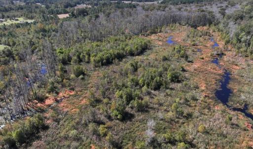 Photo #20 of Off J A Carrol Road, Bladenboro, NC 58.4 acres