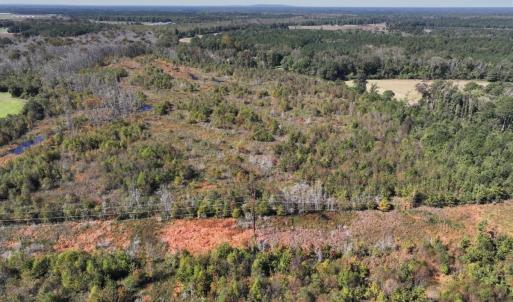 Photo #22 of Off J A Carrol Road, Bladenboro, NC 58.4 acres