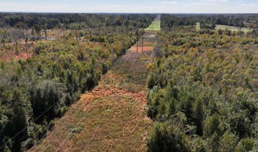 Photo #24 of Off J A Carrol Road, Bladenboro, NC 58.4 acres