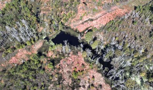 Photo #28 of Off J A Carrol Road, Bladenboro, NC 58.4 acres