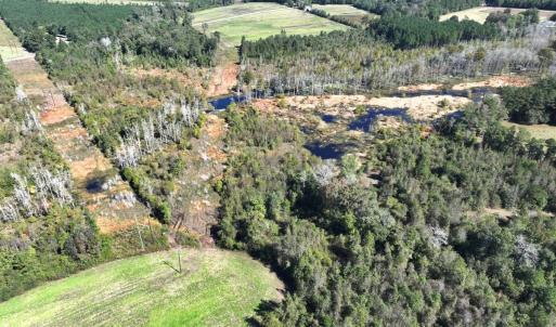 Photo #29 of Off J A Carrol Road, Bladenboro, NC 58.4 acres