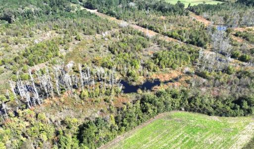 Photo #32 of Off J A Carrol Road, Bladenboro, NC 58.4 acres