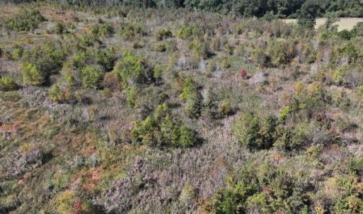 Photo #34 of Off J A Carrol Road, Bladenboro, NC 58.4 acres