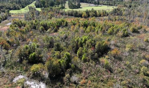Photo #36 of Off J A Carrol Road, Bladenboro, NC 58.4 acres