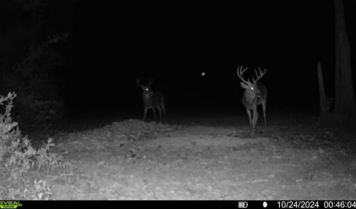 Photo #13 of Off Atkinson Cemetary Rd, Atkinson, NC 202.0 acres