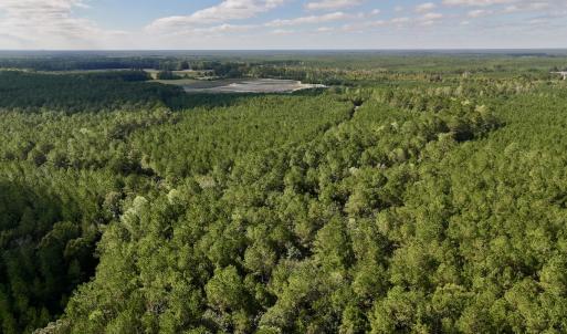 Photo #14 of Off Atkinson Cemetary Rd, Atkinson, NC 202.0 acres