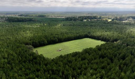 Photo #15 of Off Atkinson Cemetary Rd, Atkinson, NC 202.0 acres