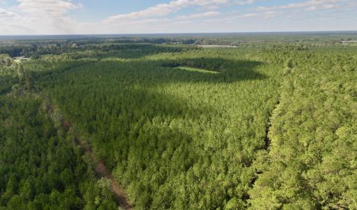 Photo #16 of Off Atkinson Cemetary Rd, Atkinson, NC 202.0 acres