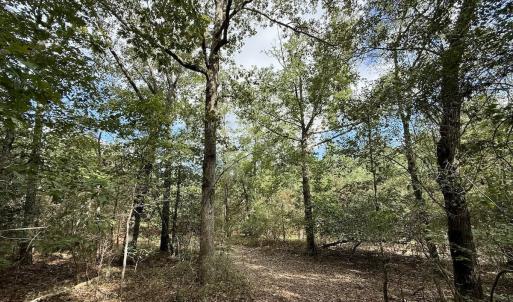 Photo #17 of Off Atkinson Cemetary Rd, Atkinson, NC 202.0 acres