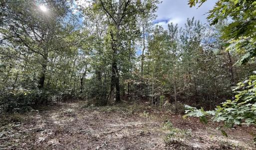 Photo #18 of Off Atkinson Cemetary Rd, Atkinson, NC 202.0 acres