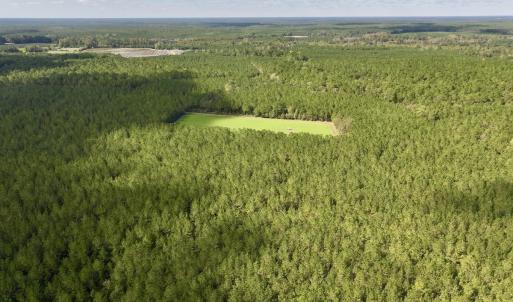 Photo #23 of Off Atkinson Cemetary Rd, Atkinson, NC 202.0 acres