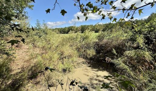 Photo #24 of Off Atkinson Cemetary Rd, Atkinson, NC 202.0 acres