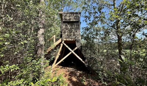 Photo #25 of Off Atkinson Cemetary Rd, Atkinson, NC 202.0 acres