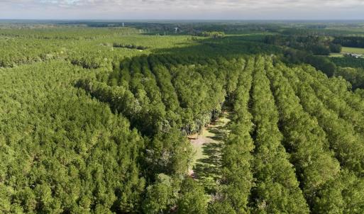 Photo #27 of Off Atkinson Cemetary Rd, Atkinson, NC 202.0 acres