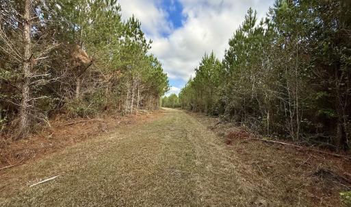 Photo #28 of Off Atkinson Cemetary Rd, Atkinson, NC 202.0 acres
