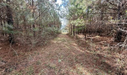Photo #29 of Off Atkinson Cemetary Rd, Atkinson, NC 202.0 acres