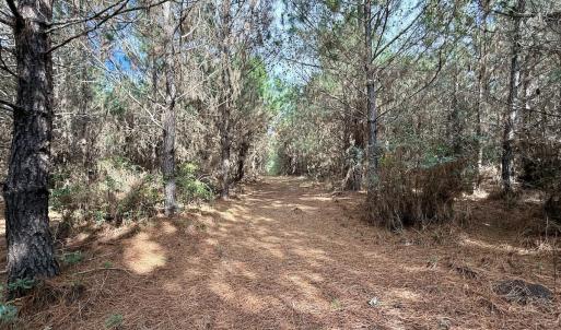 Photo #30 of Off Atkinson Cemetary Rd, Atkinson, NC 202.0 acres