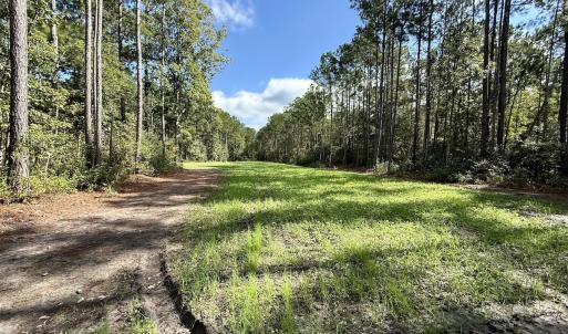 Photo #32 of Off Atkinson Cemetary Rd, Atkinson, NC 202.0 acres