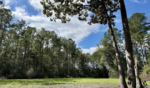 Photo #33 of Off Atkinson Cemetary Rd, Atkinson, NC 202.0 acres