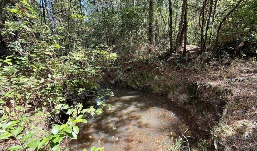 Photo #35 of Off Atkinson Cemetary Rd, Atkinson, NC 202.0 acres