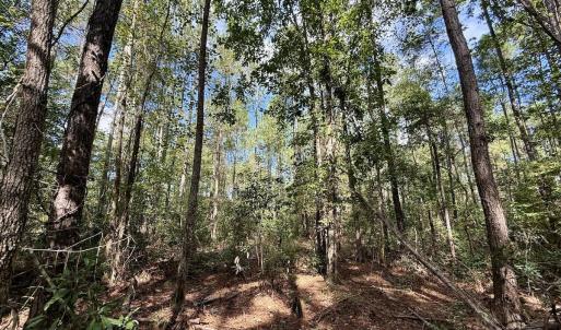 Photo #38 of Off Atkinson Cemetary Rd, Atkinson, NC 202.0 acres
