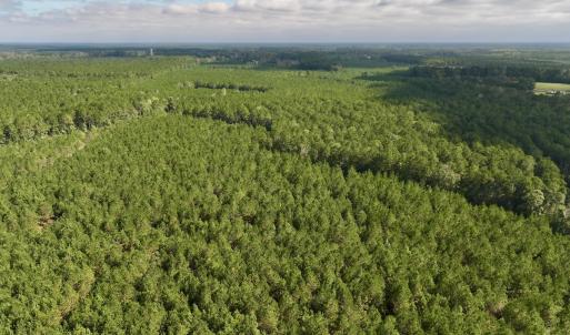 Photo #40 of Off Atkinson Cemetary Rd, Atkinson, NC 202.0 acres