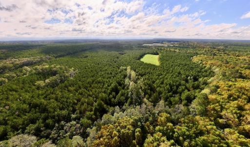 Photo #2 of Off Atkinson Cemetary Rd, Atkinson, NC 202.0 acres