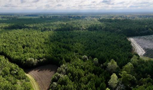 Photo #5 of Off Atkinson Cemetary Rd, Atkinson, NC 202.0 acres