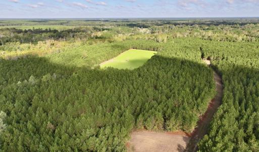 Photo #6 of Off Atkinson Cemetary Rd, Atkinson, NC 202.0 acres