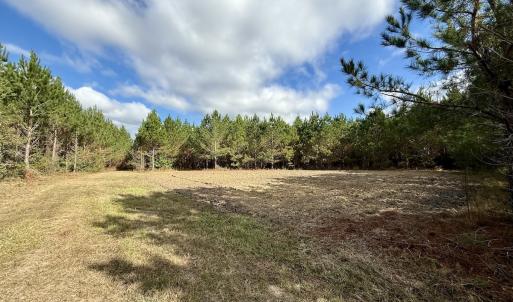 Photo #7 of Off Atkinson Cemetary Rd, Atkinson, NC 202.0 acres