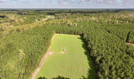 Photo #8 of Off Atkinson Cemetary Rd, Atkinson, NC 202.0 acres