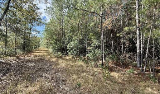 Photo #43 of Off Atkinson Cemetary Rd, Atkinson, NC 202.0 acres
