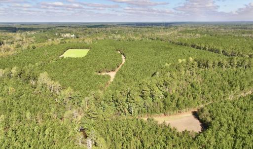 Photo #45 of Off Atkinson Cemetary Rd, Atkinson, NC 202.0 acres