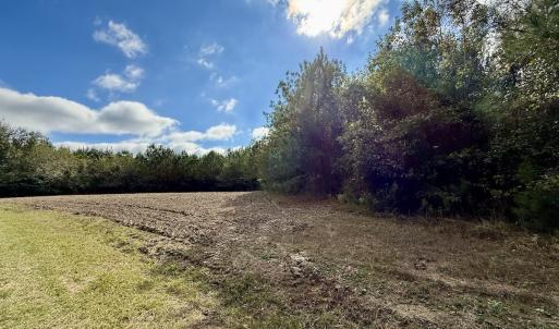 Photo #46 of Off Atkinson Cemetary Rd, Atkinson, NC 202.0 acres