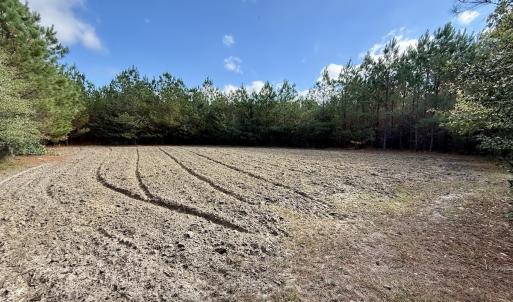 Photo #47 of Off Atkinson Cemetary Rd, Atkinson, NC 202.0 acres