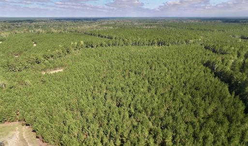 Photo #48 of Off Atkinson Cemetary Rd, Atkinson, NC 202.0 acres