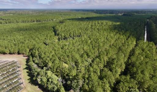 Photo #49 of Off Atkinson Cemetary Rd, Atkinson, NC 202.0 acres