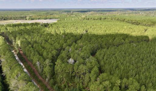 Photo #50 of Off Atkinson Cemetary Rd, Atkinson, NC 202.0 acres